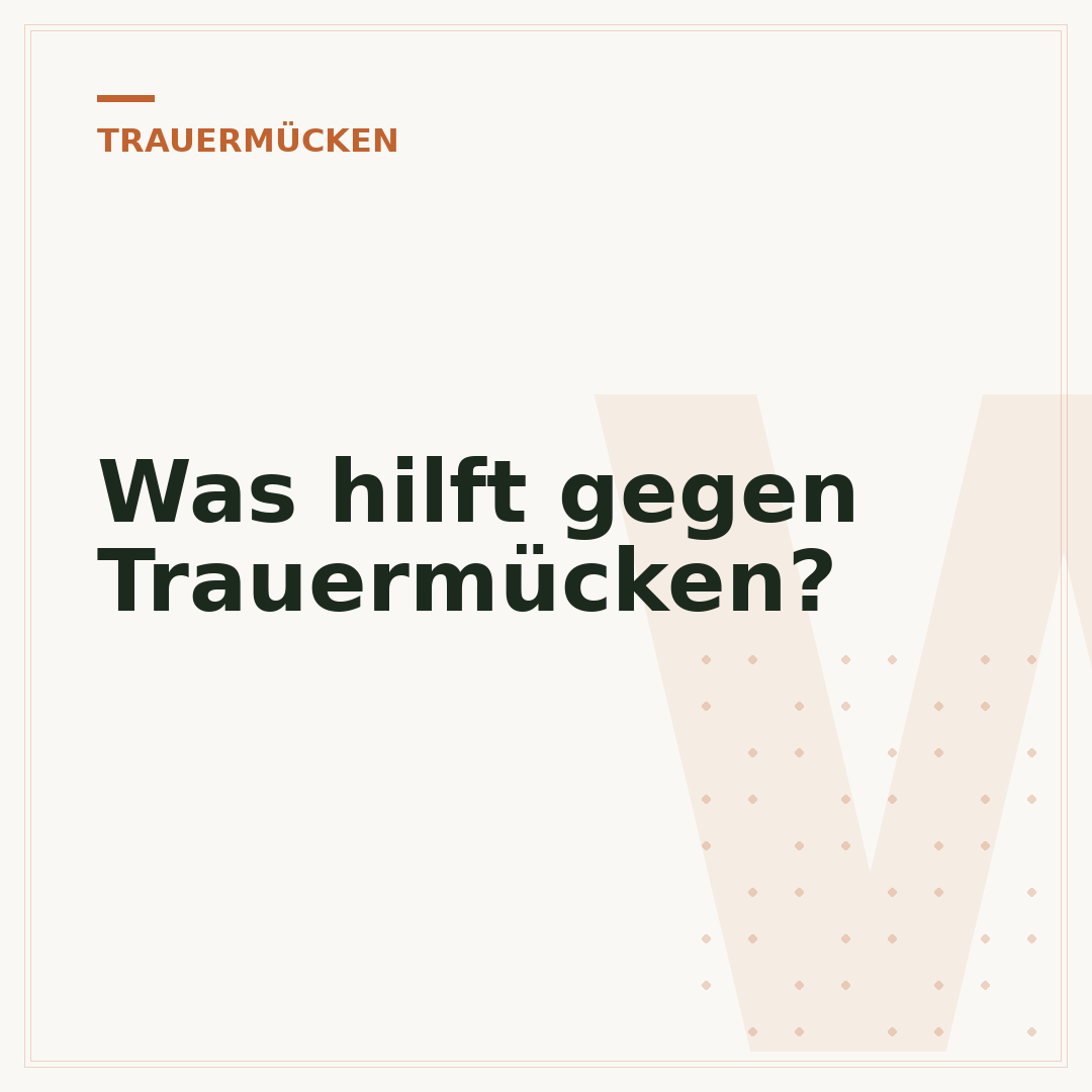 Was hilft gegen Trauermücken?