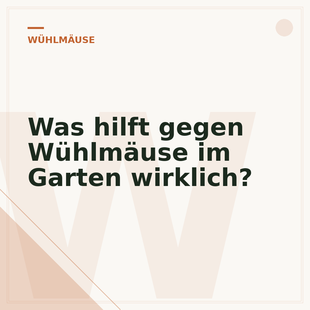 Was hilft gegen Wühlmäuse im Garten wirklich?