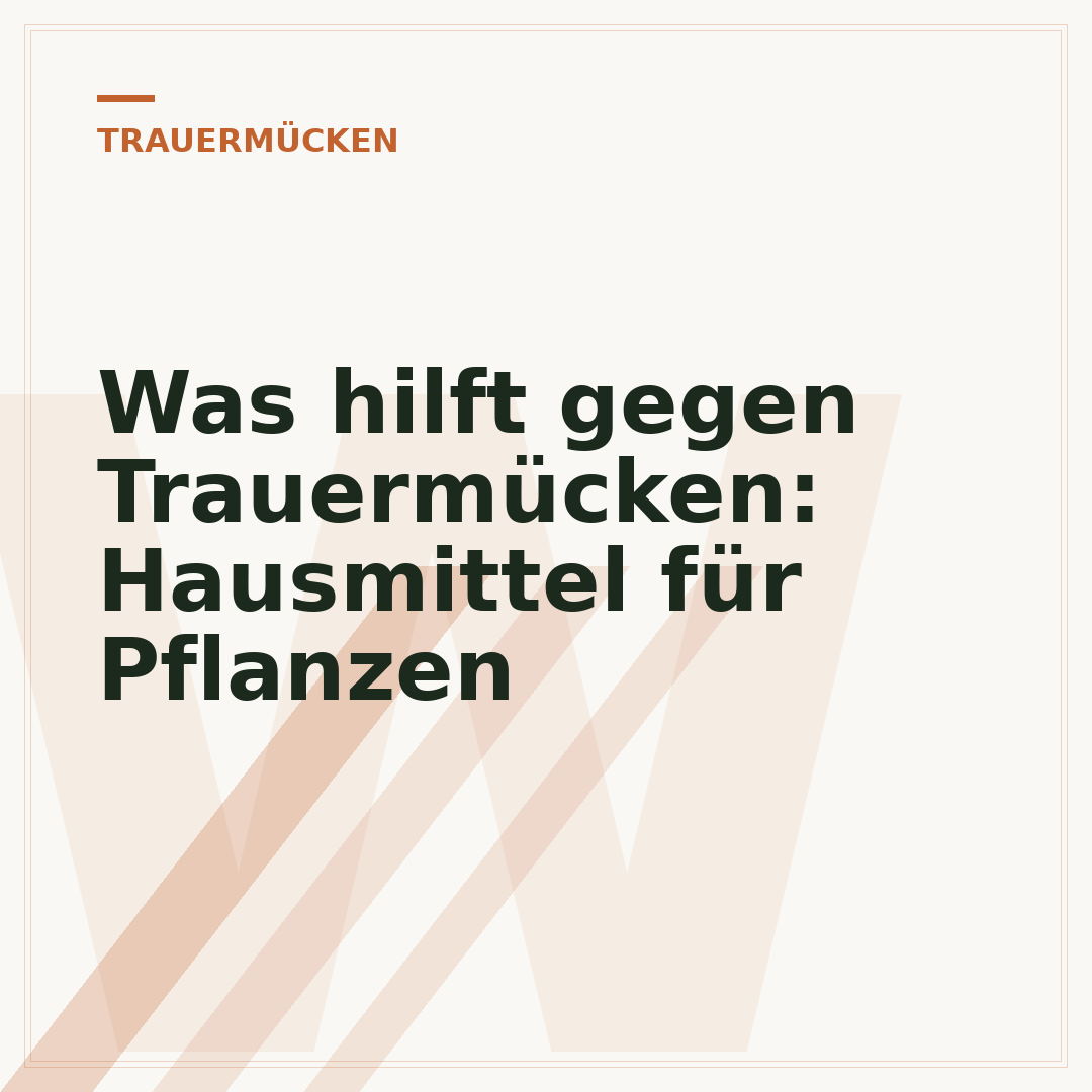 Was hilft gegen Trauermücken: Hausmittel für Pflanzen