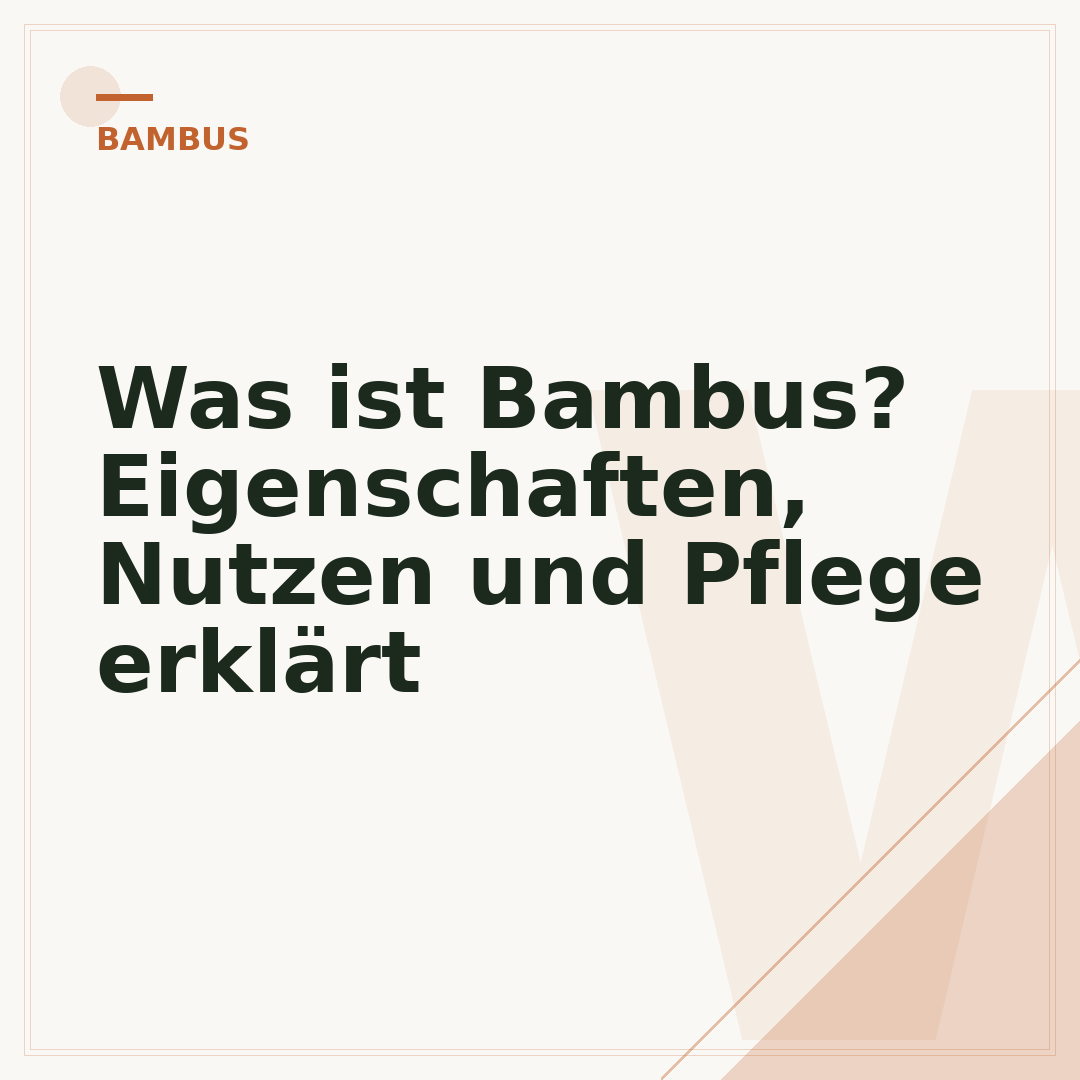 Was ist Bambus? Eigenschaften, Nutzen und Pflege erklärt