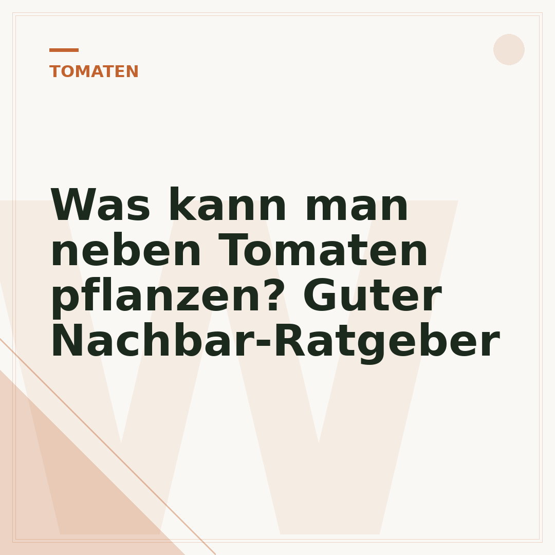 Was kann man neben Tomaten pflanzen? Guter Nachbar-Ratgeber