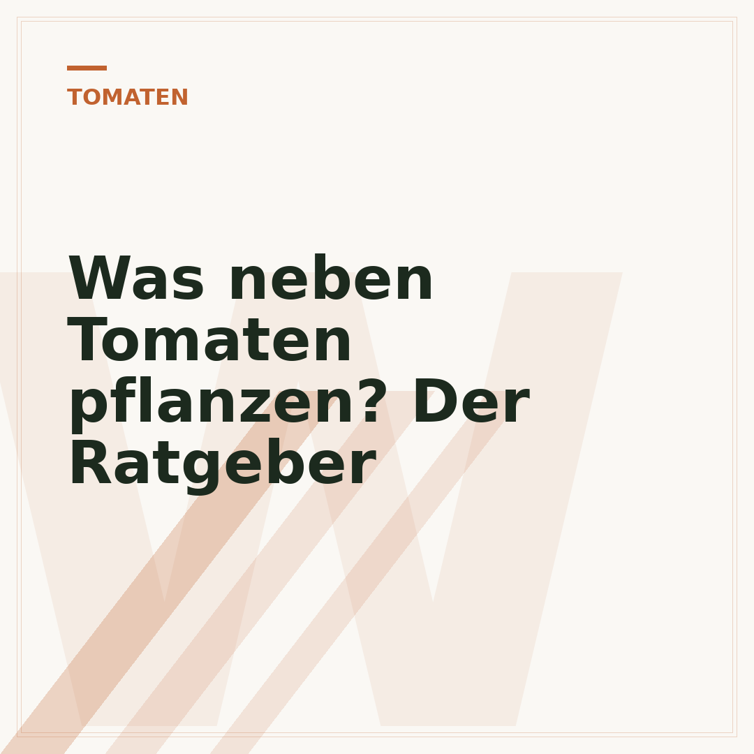 Was neben Tomaten pflanzen? Der Ratgeber