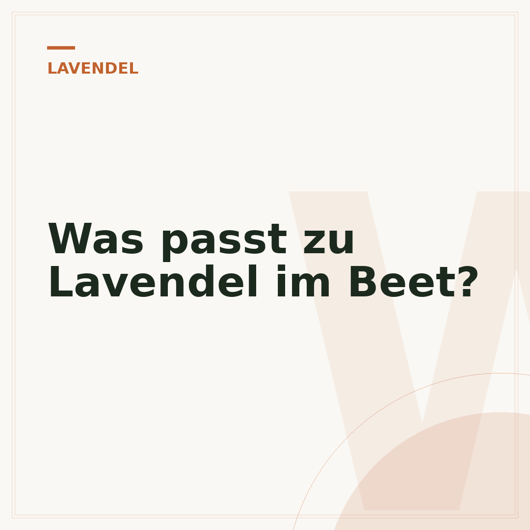 Was passt zu Lavendel im Beet?