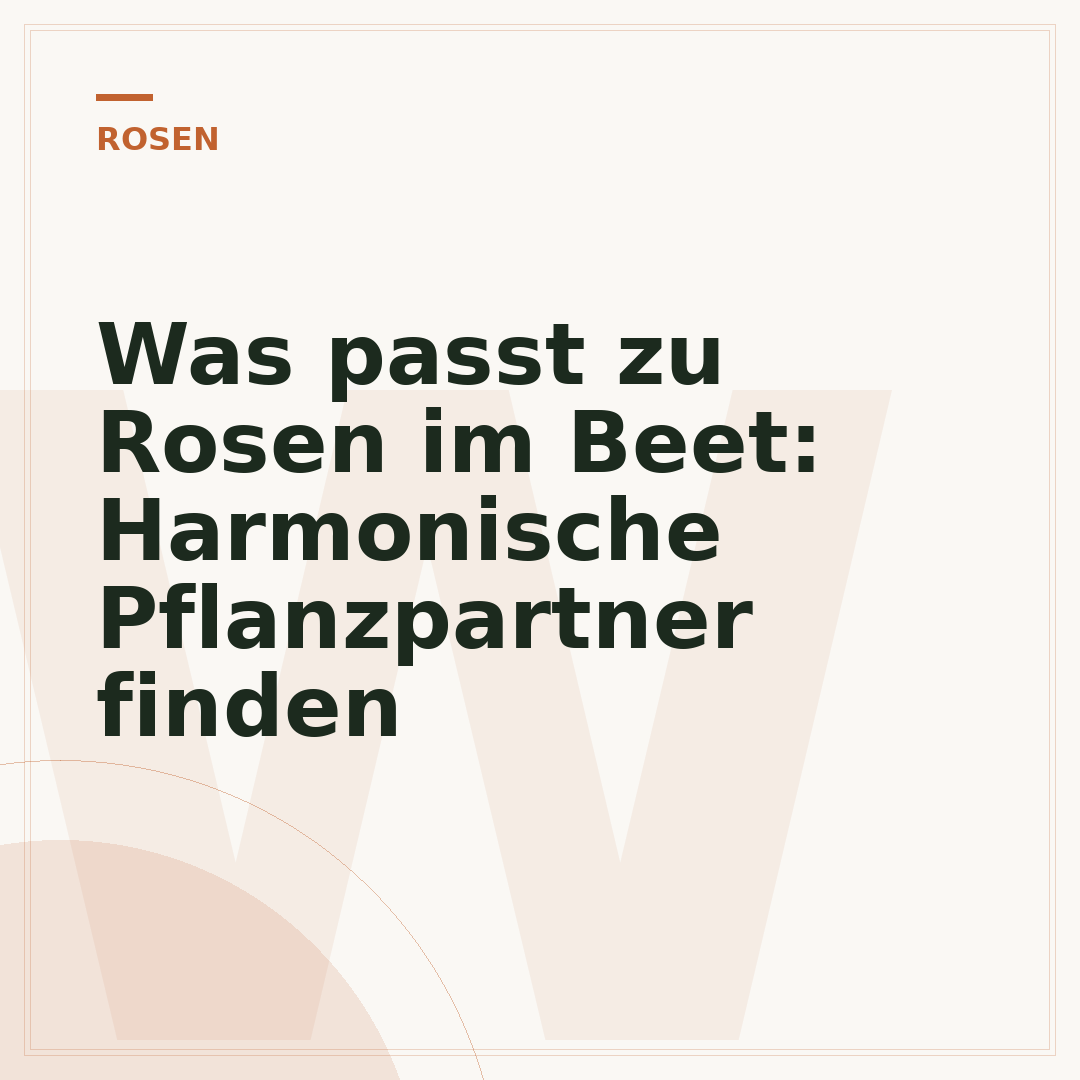 Was passt zu Rosen im Beet: Harmonische Pflanzpartner finden