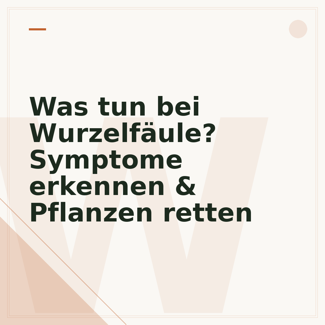 Was tun bei Wurzelfäule? Symptome erkennen & Pflanzen retten