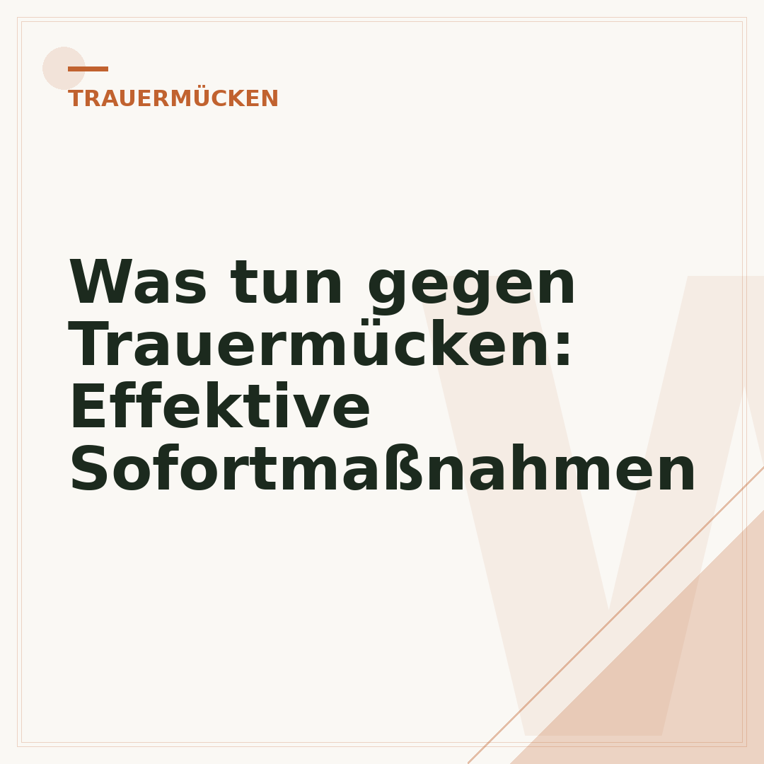 Was tun gegen Trauermücken: Effektive Sofortmaßnahmen
