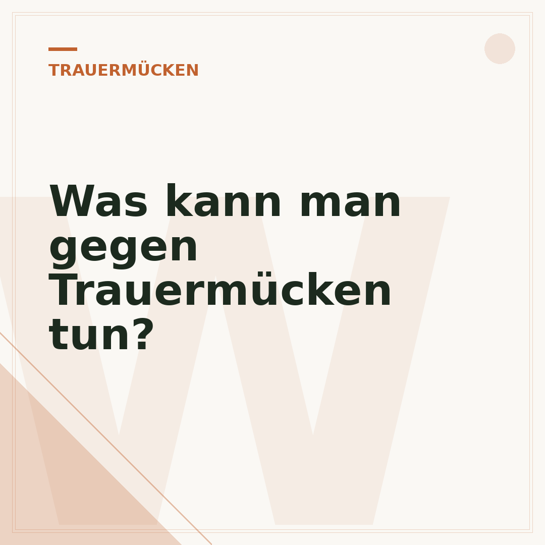 Was kann man gegen Trauermücken tun?