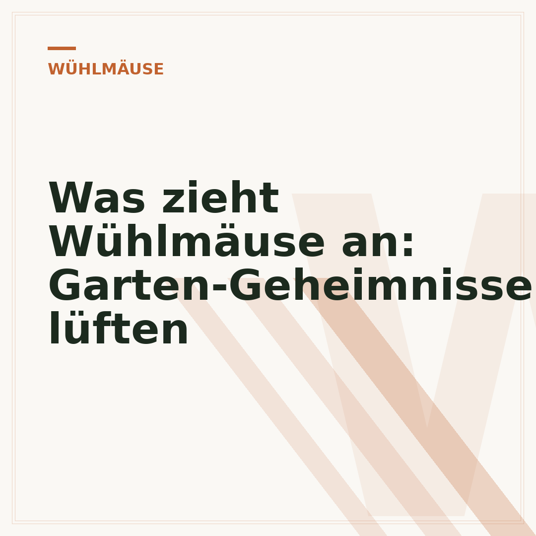 Was zieht Wühlmäuse an: Garten-Geheimnisse lüften