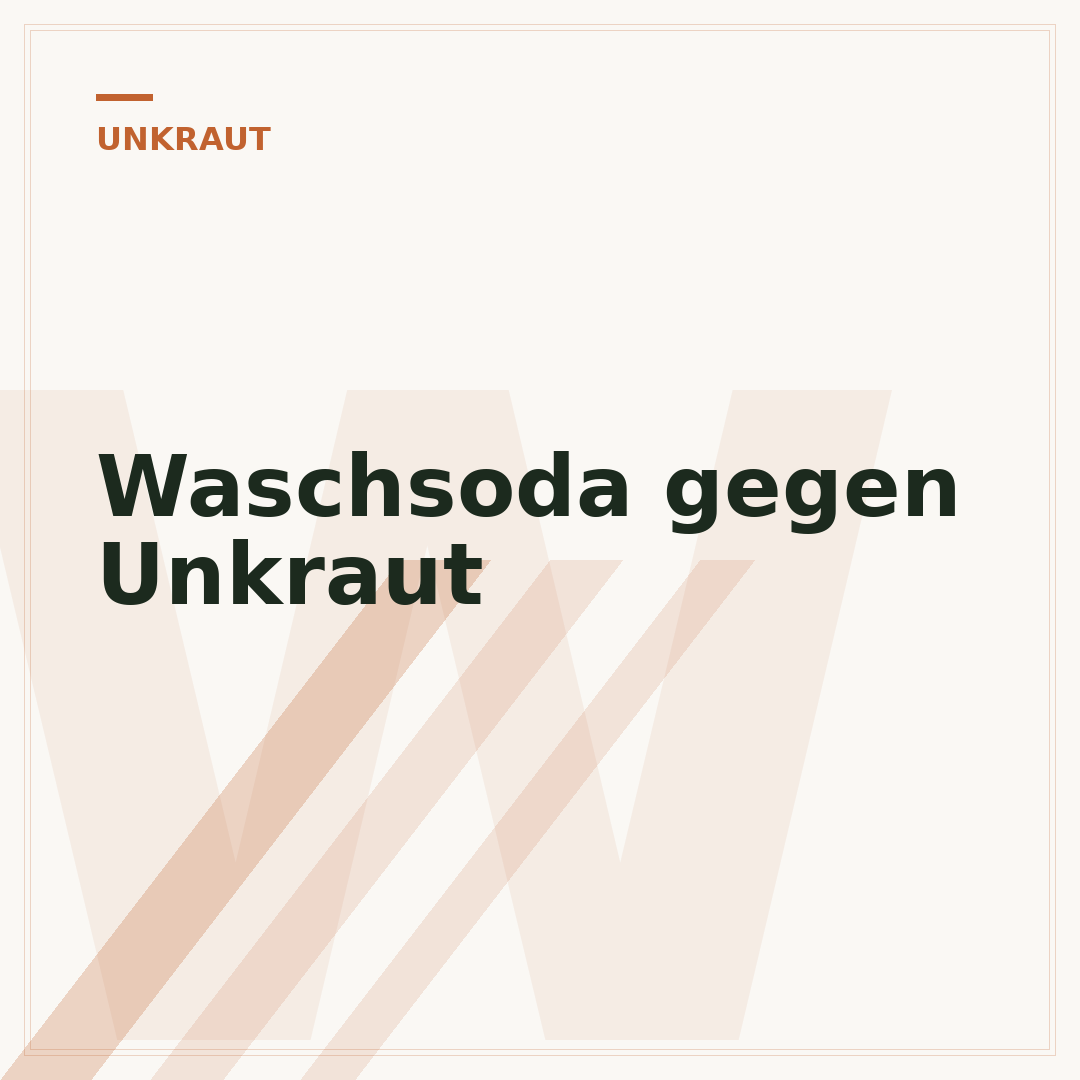 Waschsoda gegen Unkraut