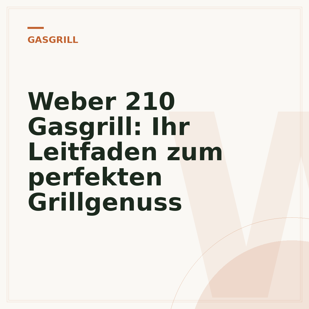 Weber 210 Gasgrill: Ihr Leitfaden zum perfekten Grillgenuss
