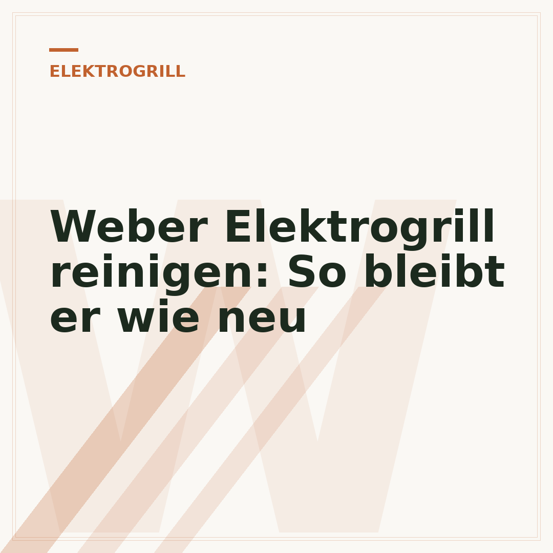 Weber Elektrogrill reinigen: So bleibt er wie neu