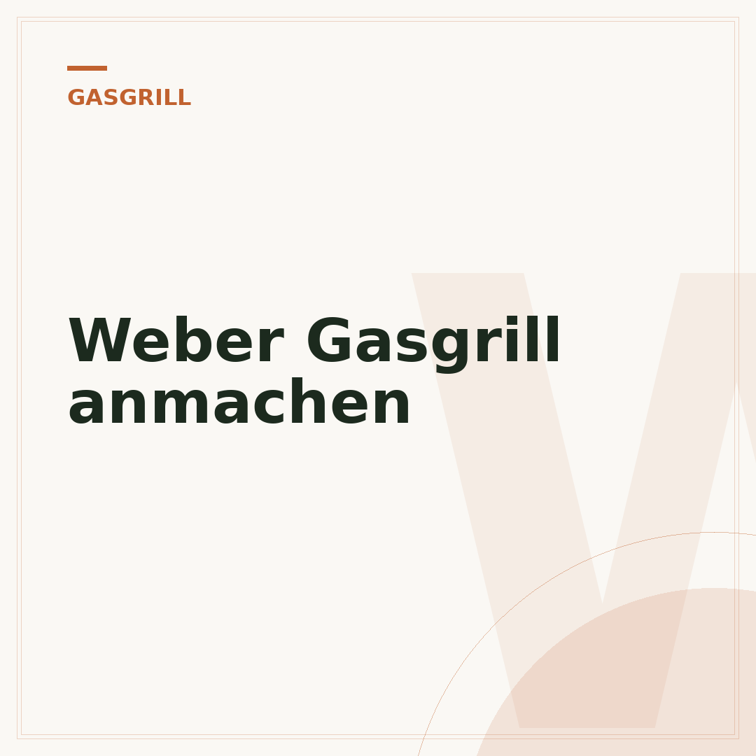 Weber Gasgrill anmachen