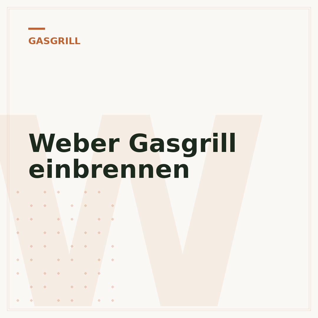 Weber Gasgrill einbrennen