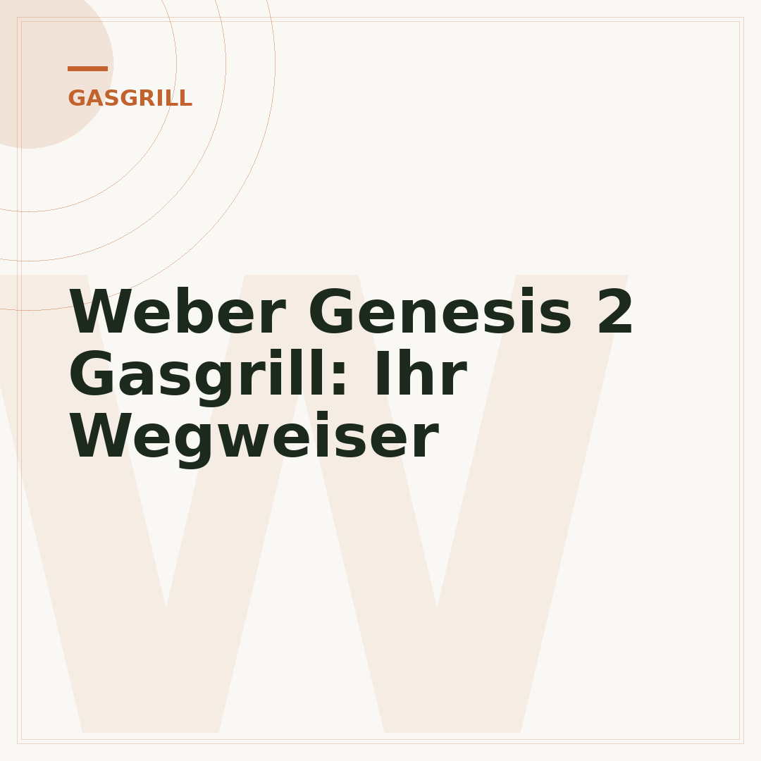 Weber Genesis 2 Gasgrill: Ihr Wegweiser