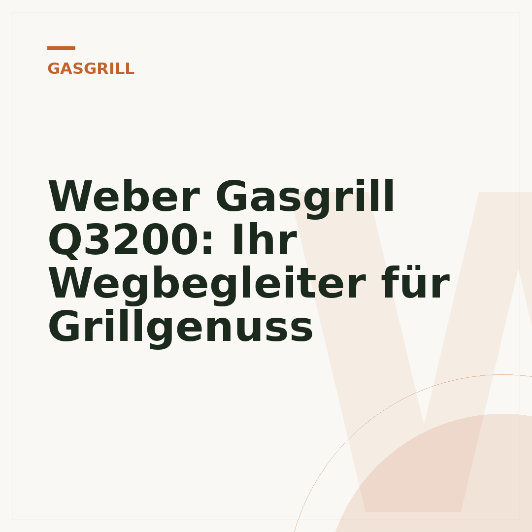 Weber Gasgrill Q3200: Ihr Wegbegleiter für Grillgenuss