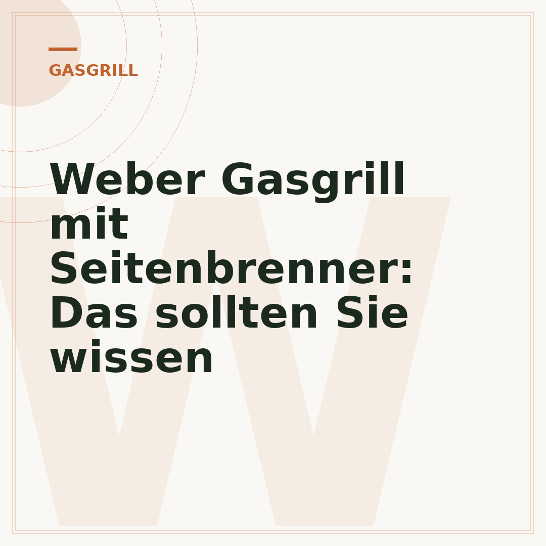 Weber Gasgrill mit Seitenbrenner: Das sollten Sie wissen