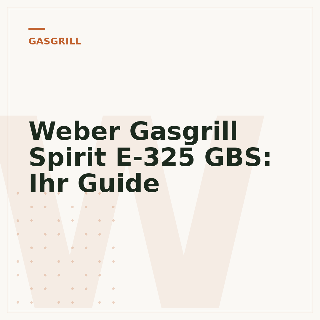 Weber Gasgrill Spirit E-325 GBS: Ihr Guide
