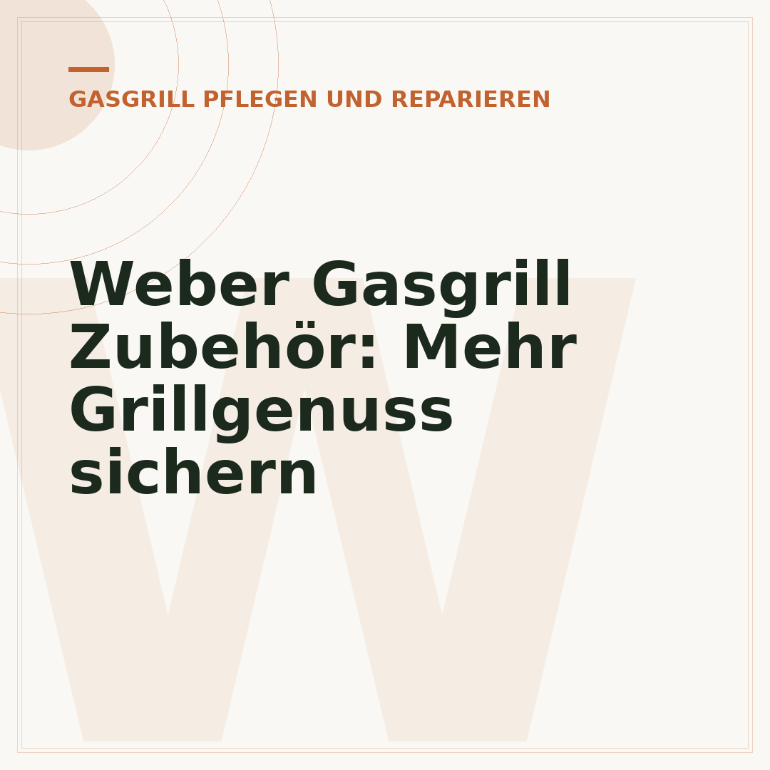 Weber Gasgrill Zubehör: Mehr Grillgenuss sichern