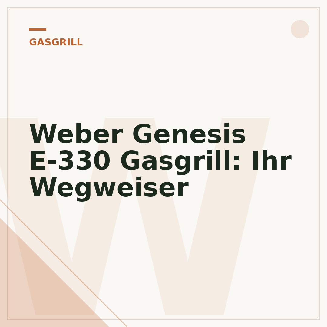 Weber Genesis E-330 Gasgrill: Ihr Wegweiser