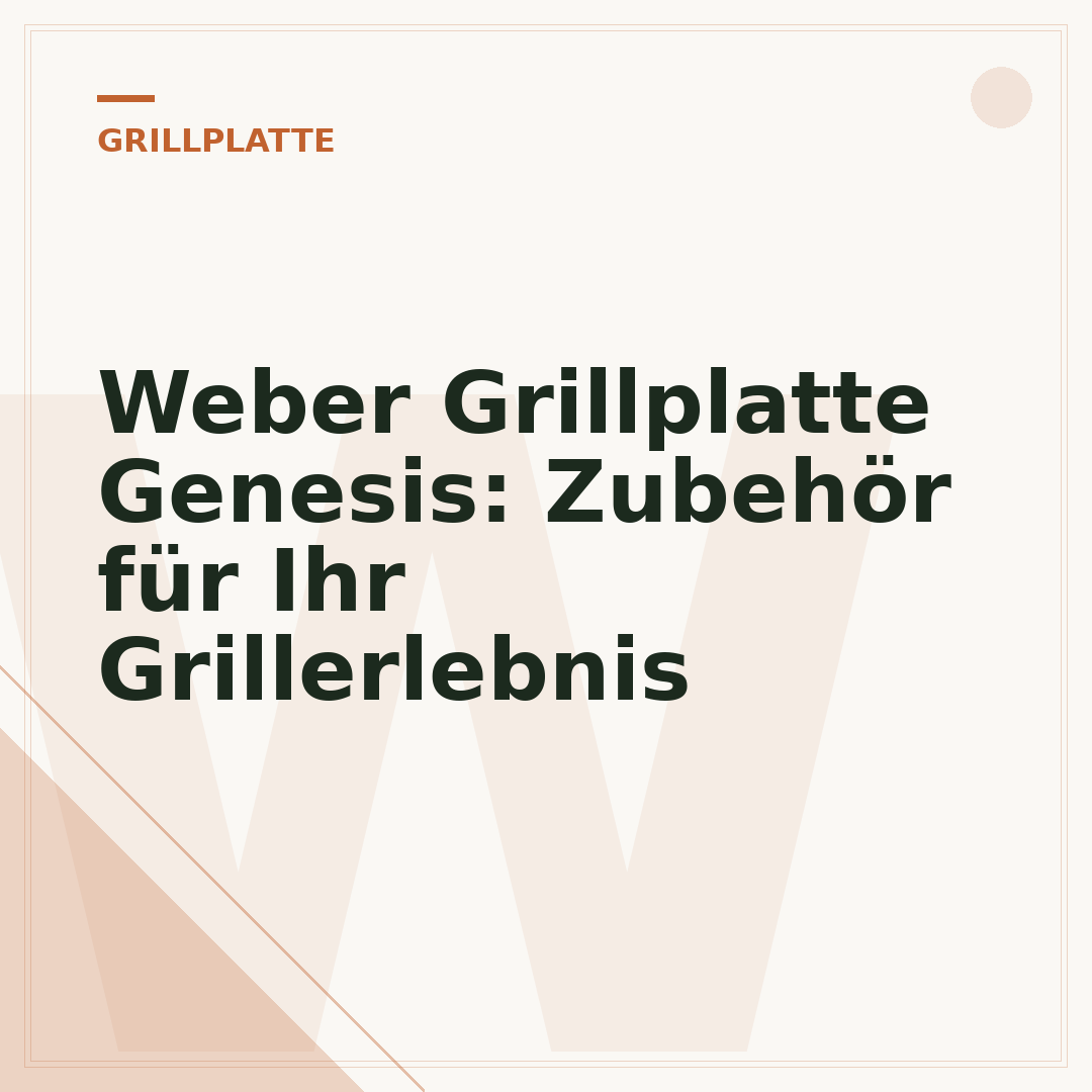 Weber Grillplatte Genesis: Zubehör für Ihr Grillerlebnis