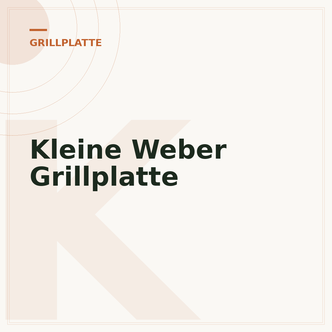 Kleine Weber Grillplatte