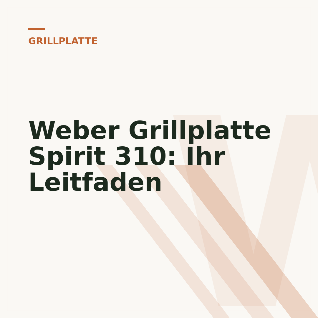 Weber Grillplatte Spirit 310: Ihr Leitfaden