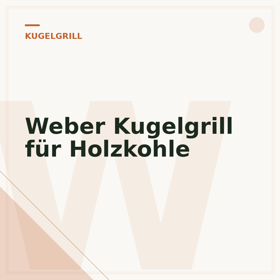 Weber Kugelgrill für Holzkohle