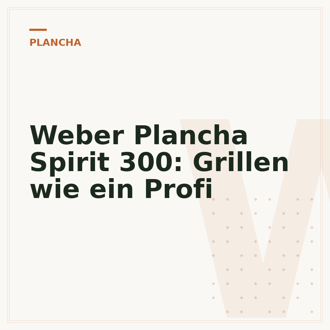 Weber Plancha Spirit 300: Grillen wie ein Profi