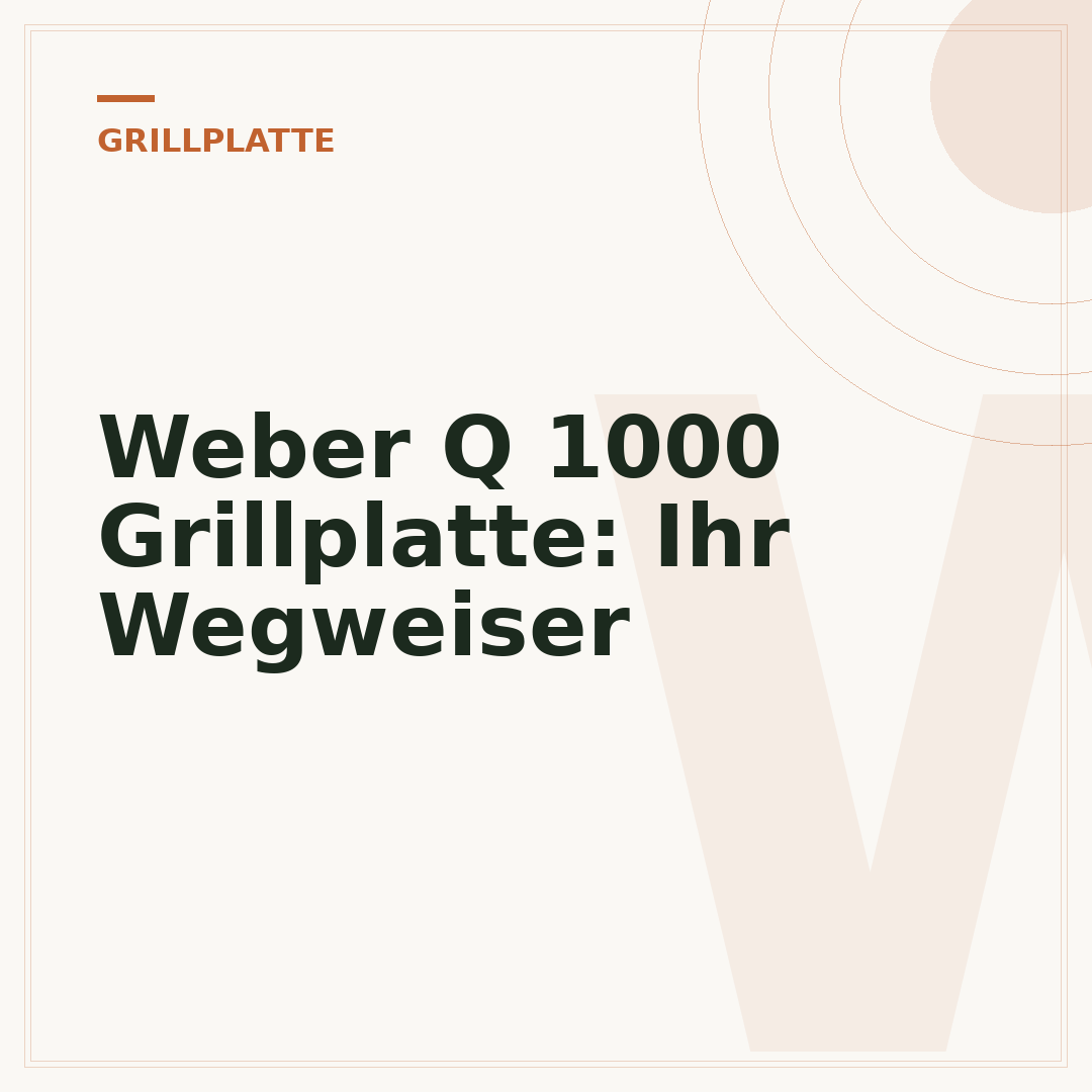 Weber Q 1000 Grillplatte: Ihr Wegweiser