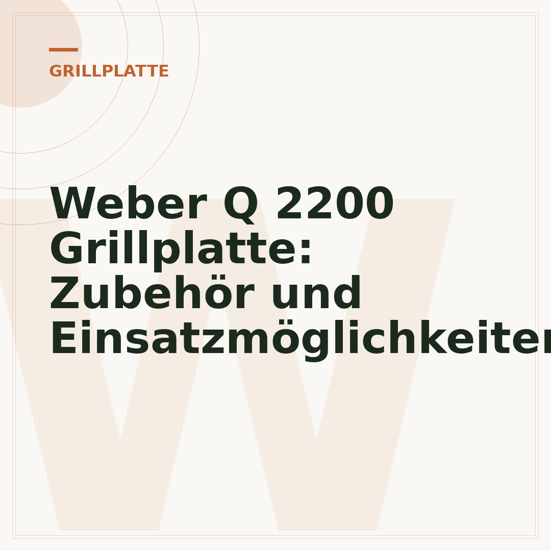 Weber Q 2200 Grillplatte: Zubehör und Einsatzmöglichkeiten