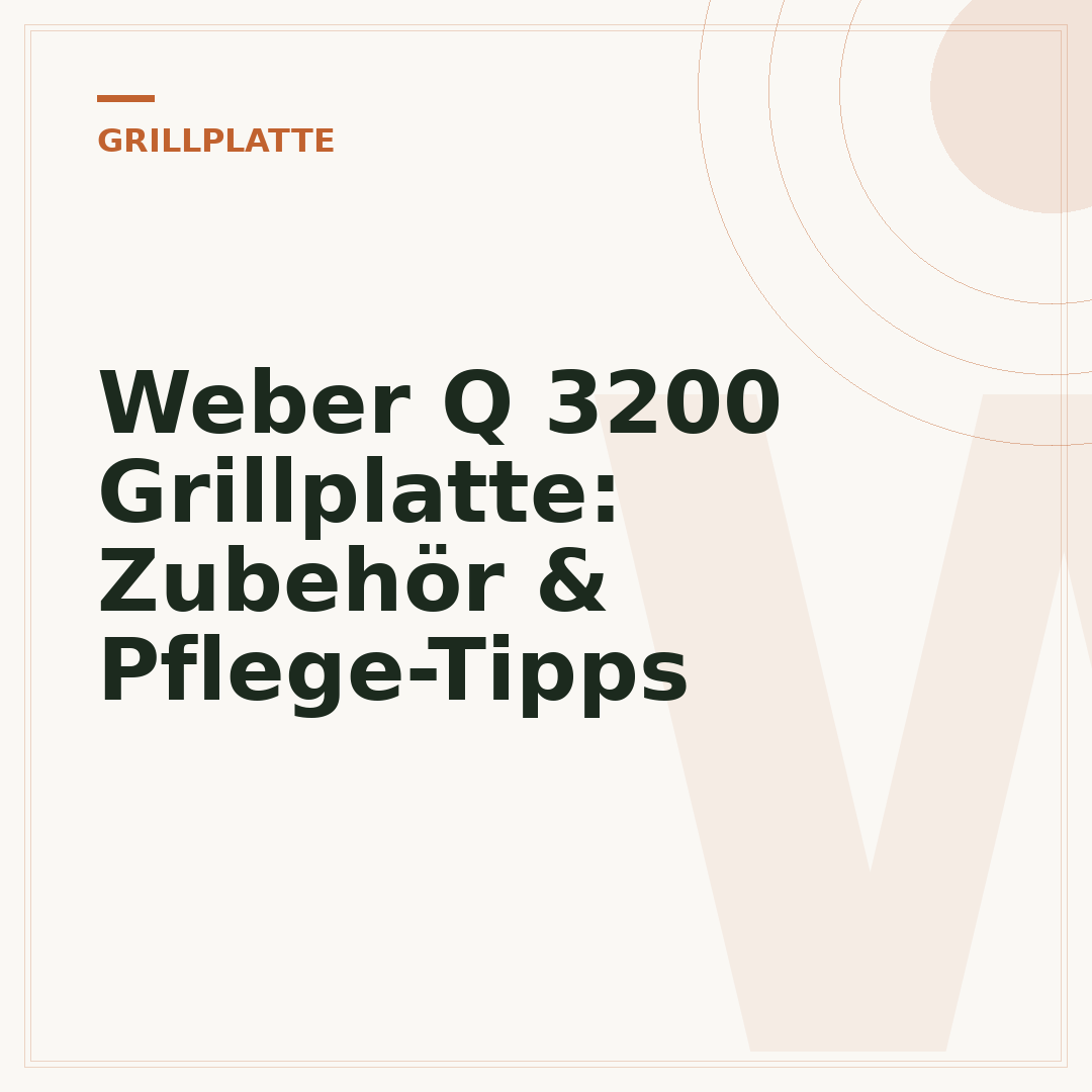 Weber Q 3200 Grillplatte: Zubehör & Pflege-Tipps