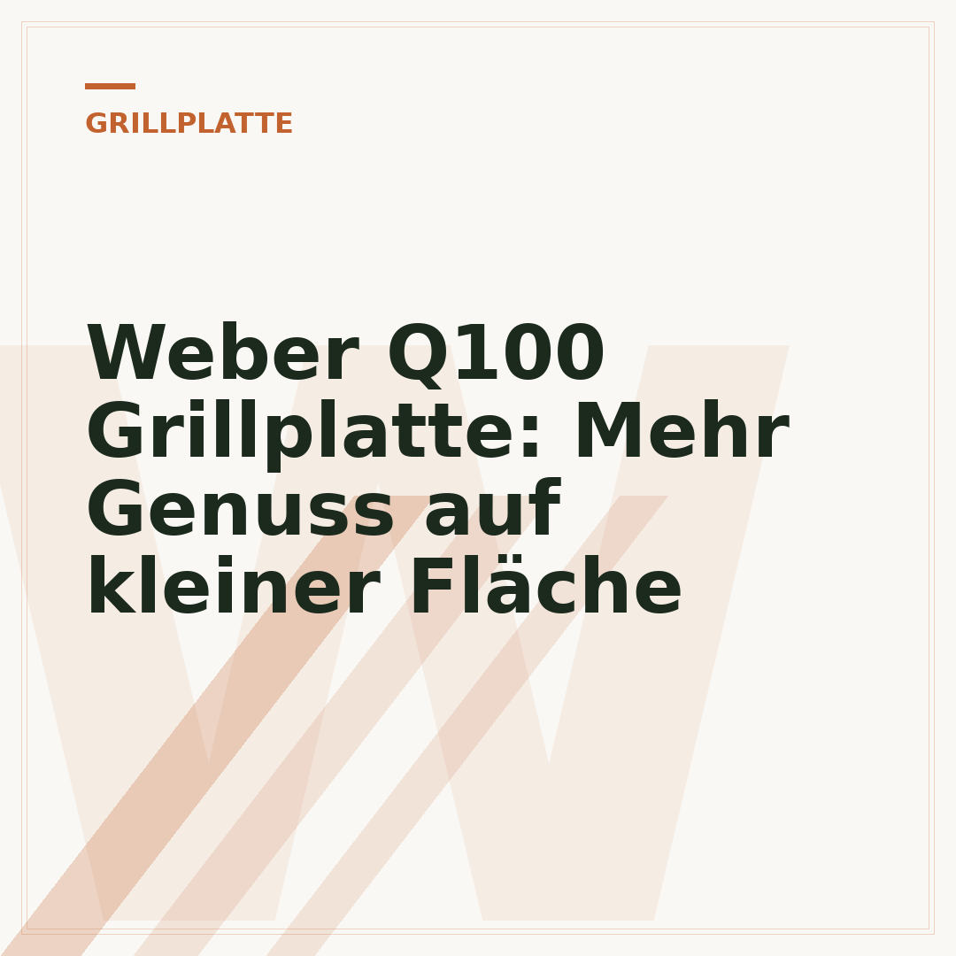 Weber Q100 Grillplatte: Mehr Genuss auf kleiner Fläche