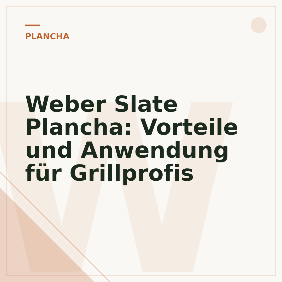 Weber Slate Plancha: Vorteile und Anwendung für Grillprofis