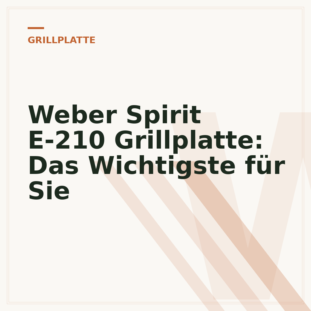Weber Spirit E-210 Grillplatte: Das Wichtigste für Sie
