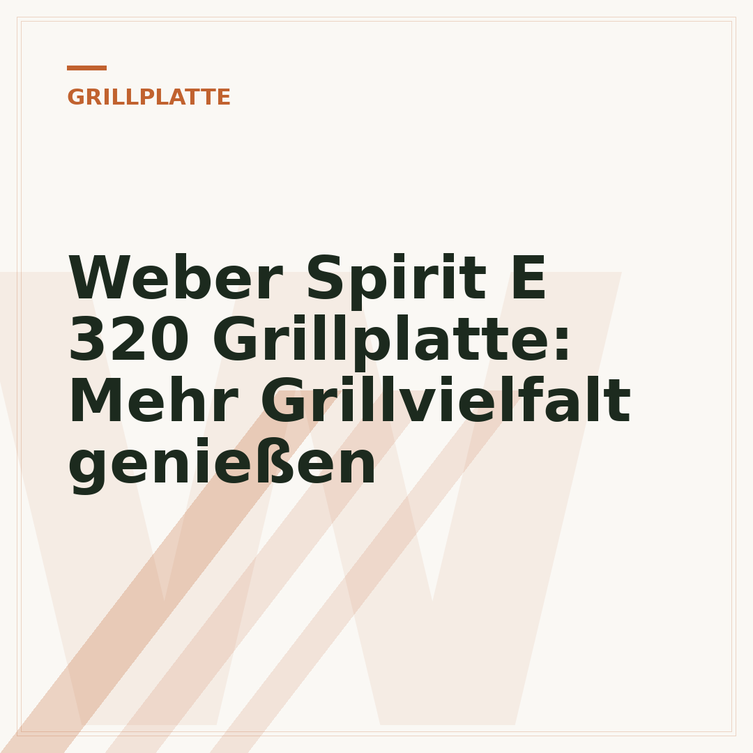 Weber Spirit E 320 Grillplatte: Mehr Grillvielfalt genießen