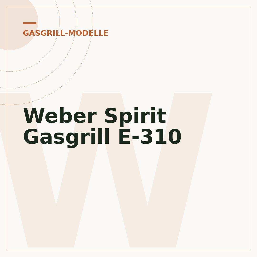Weber Spirit Gasgrill E-310