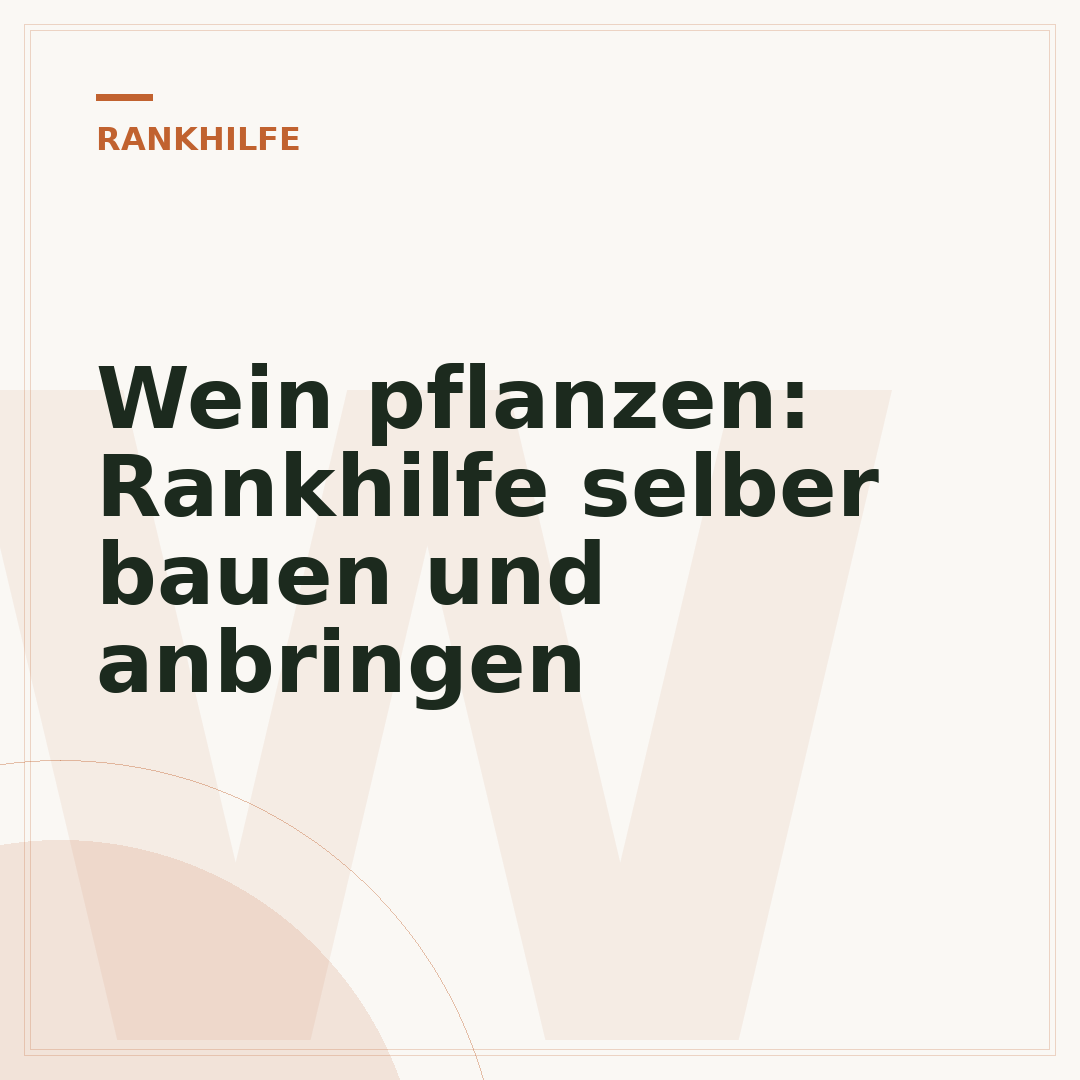 Wein pflanzen: Rankhilfe selber bauen und anbringen