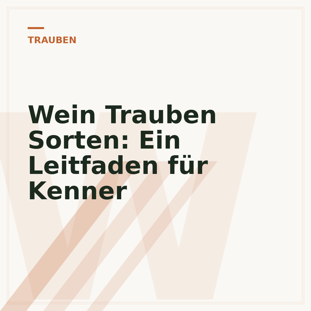 Wein Trauben Sorten: Ein Leitfaden für Kenner