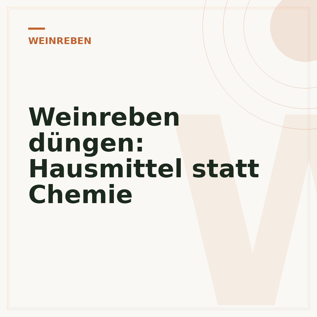 Weinreben düngen: Hausmittel statt Chemie