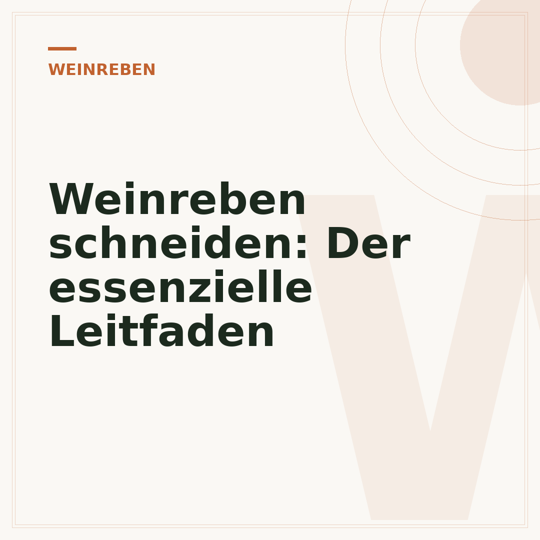 Weinreben schneiden: Der essenzielle Leitfaden