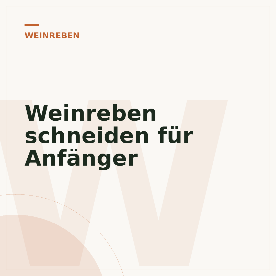 Weinreben schneiden für Anfänger