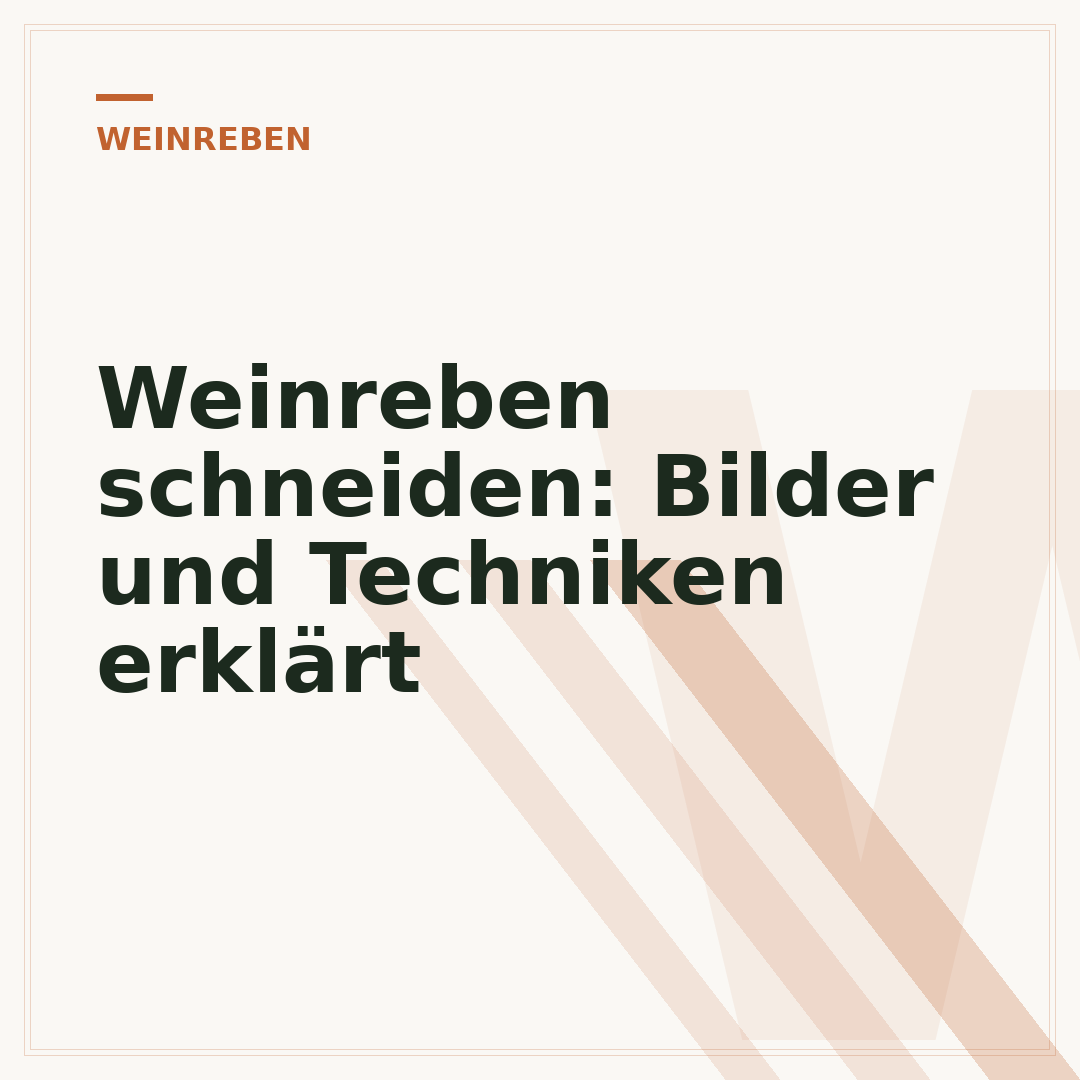 Weinreben schneiden: Bilder und Techniken erklärt