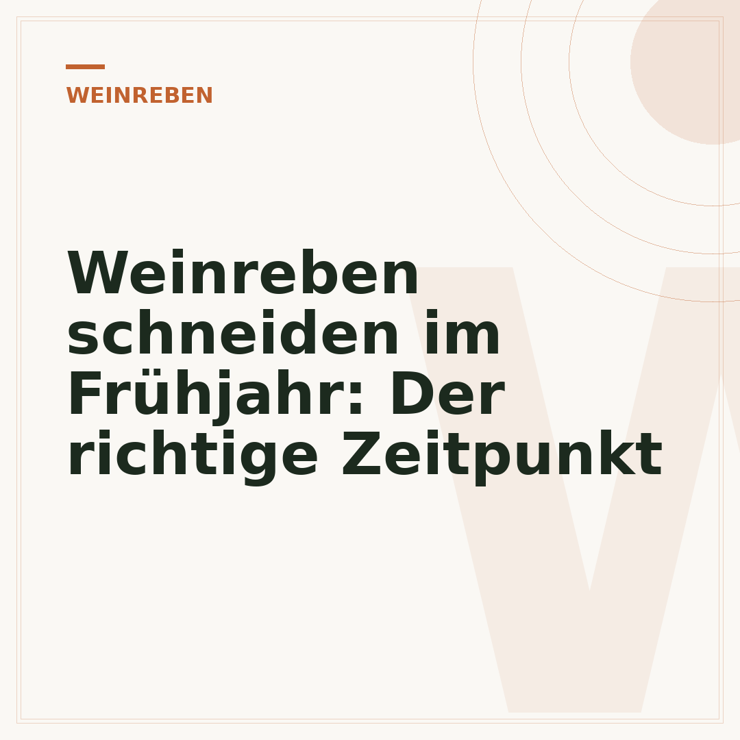 Weinreben schneiden im Frühjahr: Der richtige Zeitpunkt