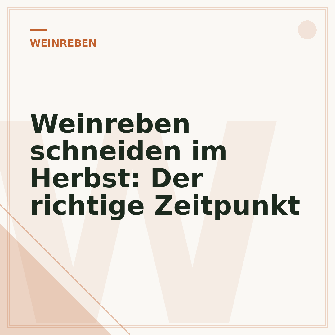 Weinreben schneiden im Herbst: Der richtige Zeitpunkt
