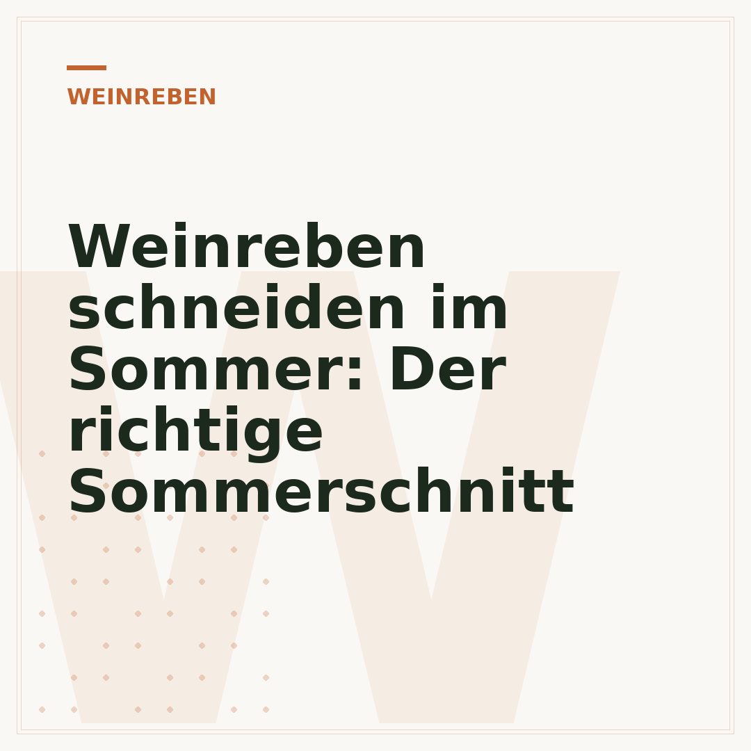 Weinreben schneiden im Sommer: Der richtige Sommerschnitt