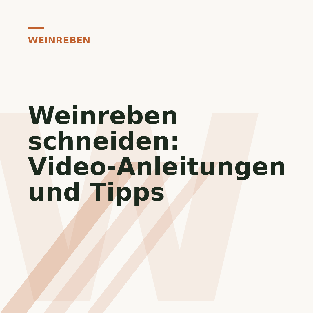 Weinreben schneiden: Video-Anleitungen und Tipps