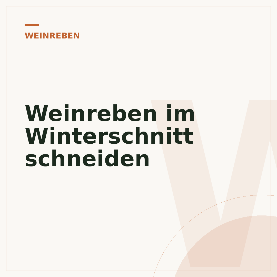 Weinreben im Winterschnitt schneiden