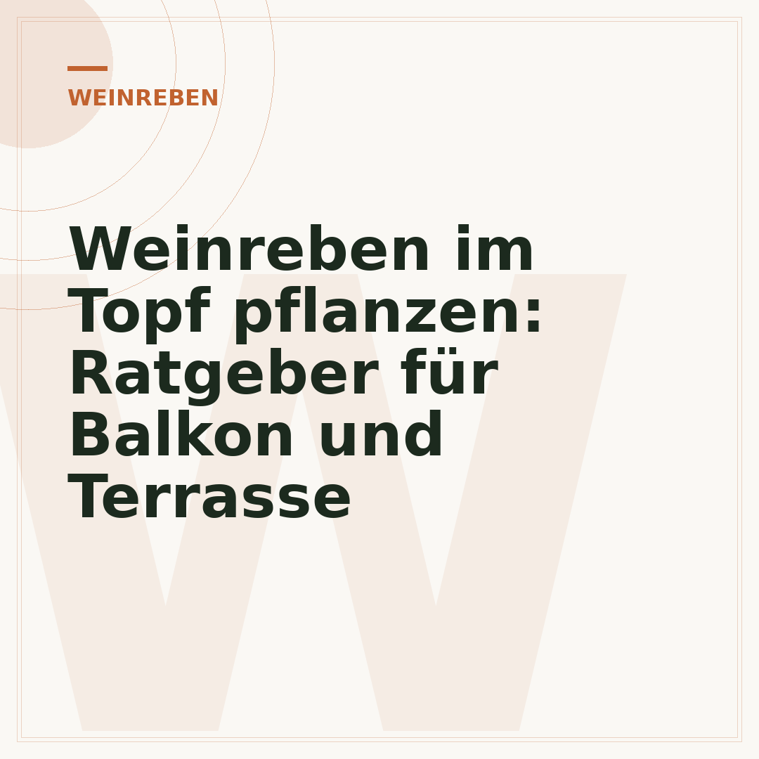 Weinreben im Topf pflanzen: Ratgeber für Balkon und Terrasse