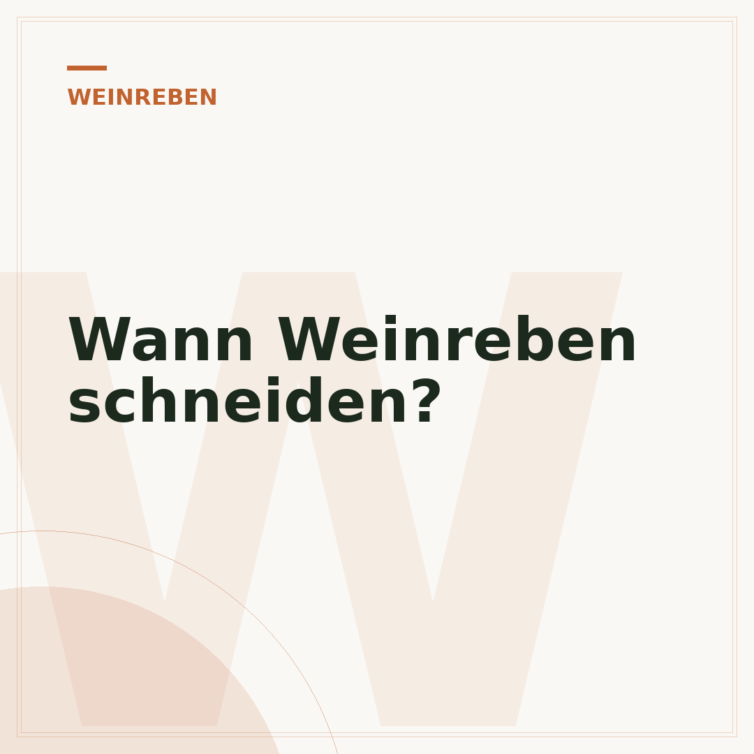 Wann Weinreben schneiden?