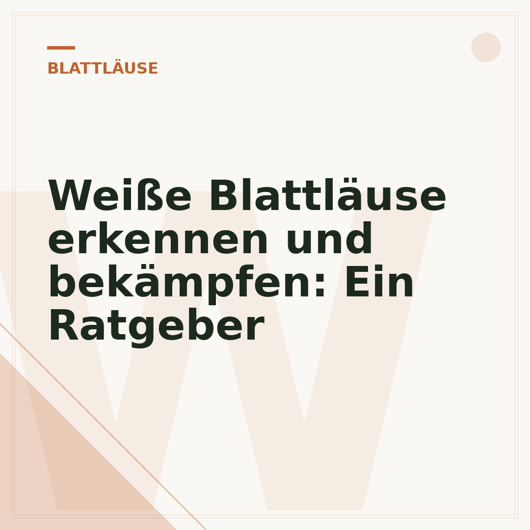 Weiße Blattläuse erkennen und bekämpfen: Ein Ratgeber